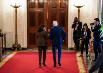 10 options if Democrats actually try to replace Biden